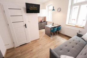 Apartament City Center Silver - Luxury Standard
